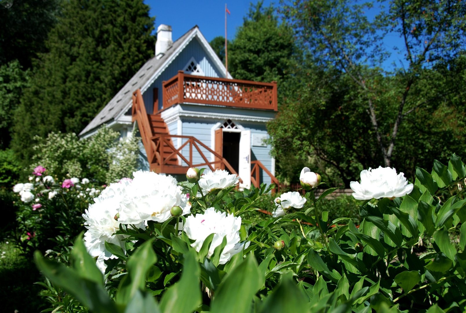 Фестиваль «Пиономания»