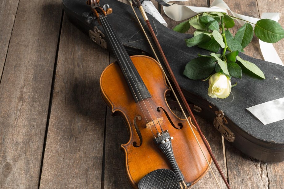 Ночь музеев. Музыкальная программа «Вечер венской музыки»