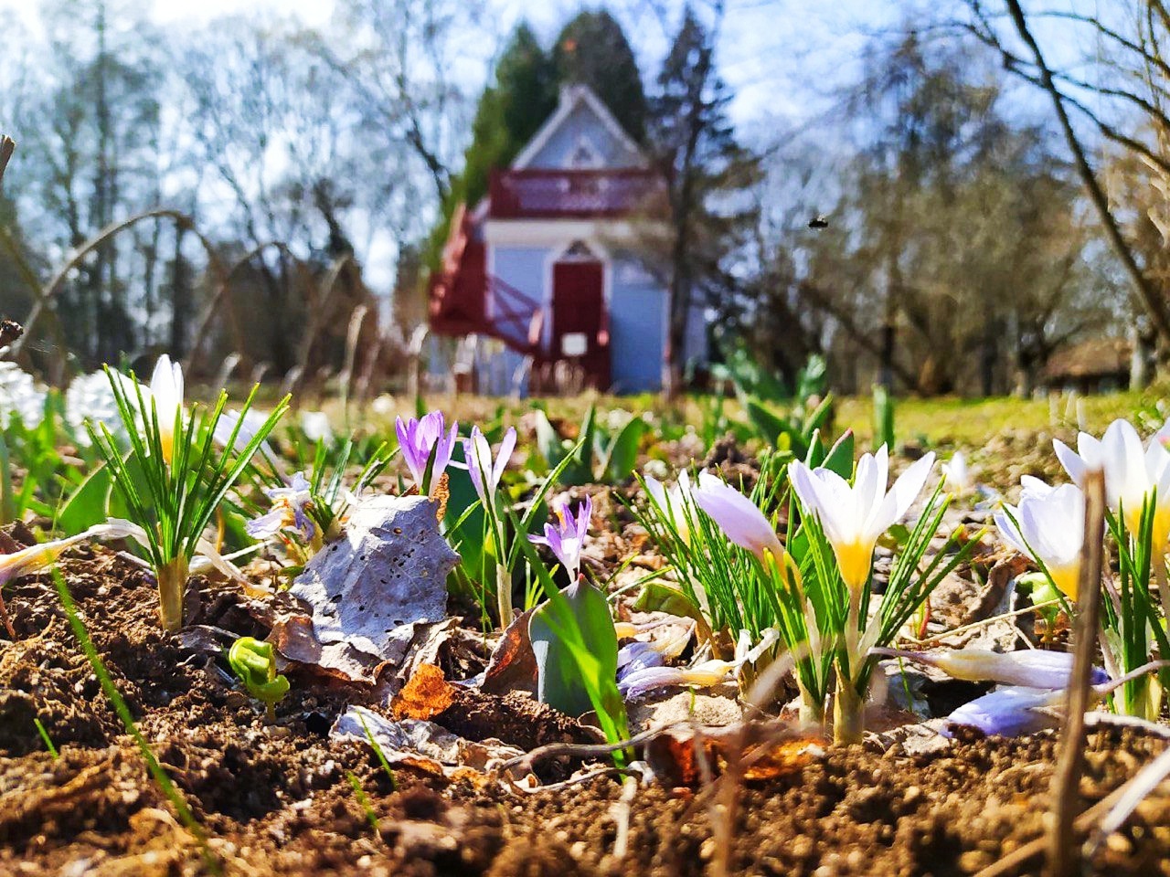 Праздничная программа «Вариации на тему весны»