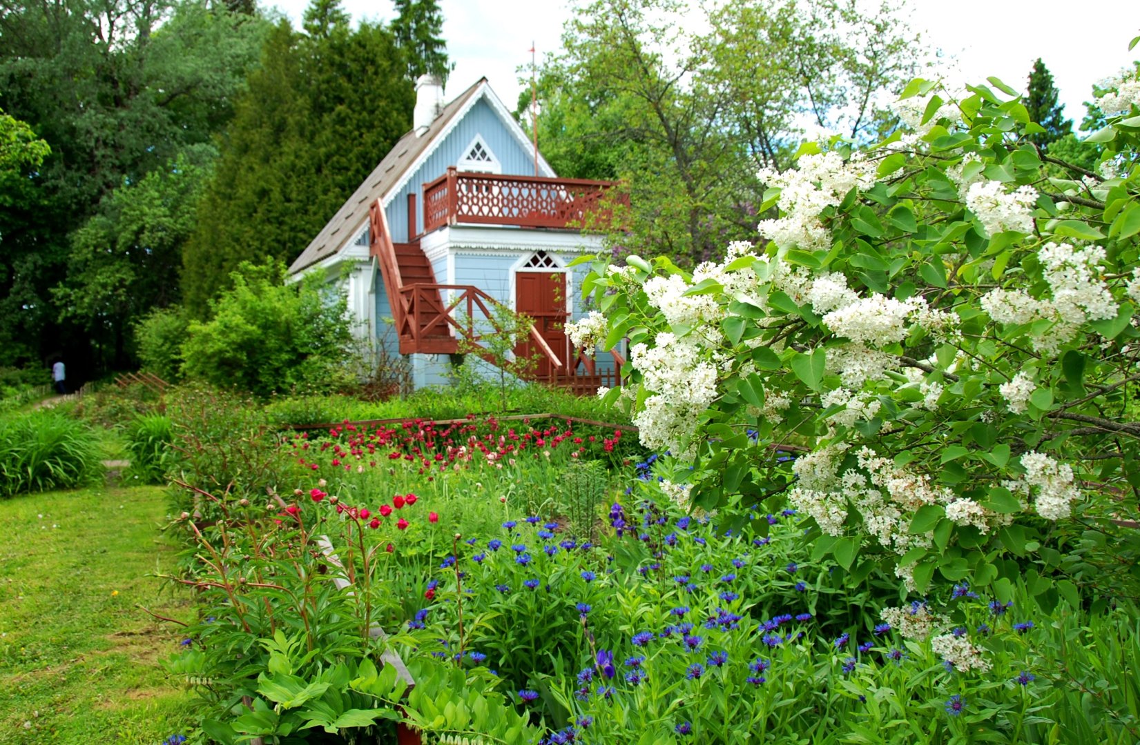  Программа «Флирт цветов»