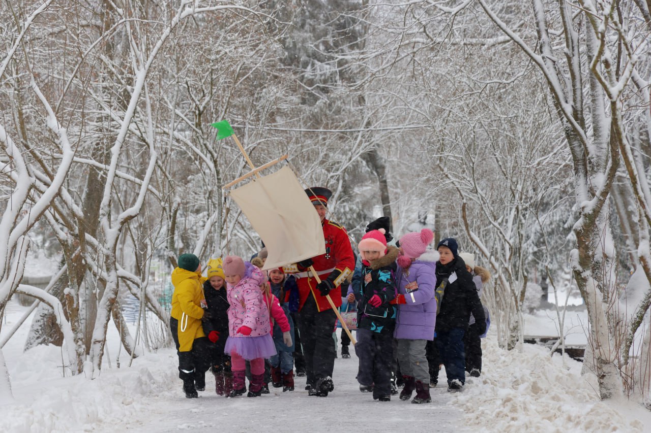 Квест на кораблях, история пингвинов и снежное чудо