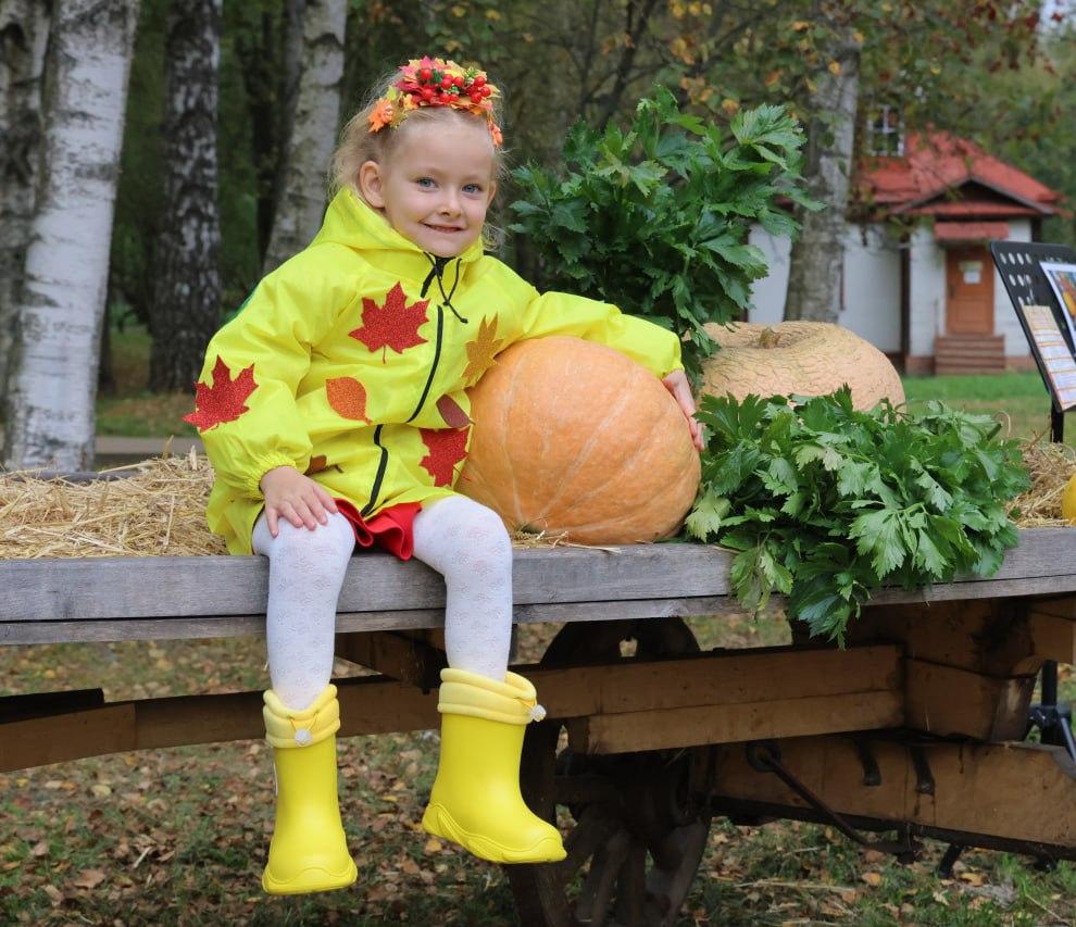 День тыквы